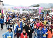 2014년 경주 벚꽃 마라톤 대회
