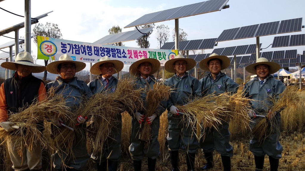 171103 추수행사 사진