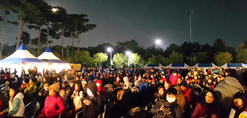 2. 경주 대표 문화체험, 제16회 신라의 달밤 165리 걷기대회 성료 (1)