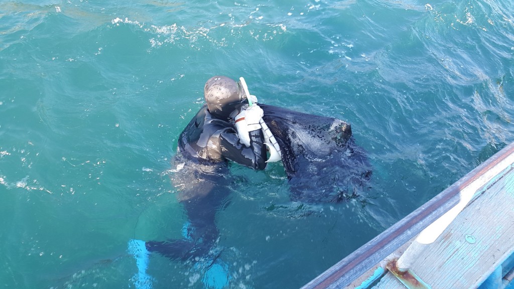 3. 경주시 수산자원조성사업으로 전복치패 30만미 방류 (1)