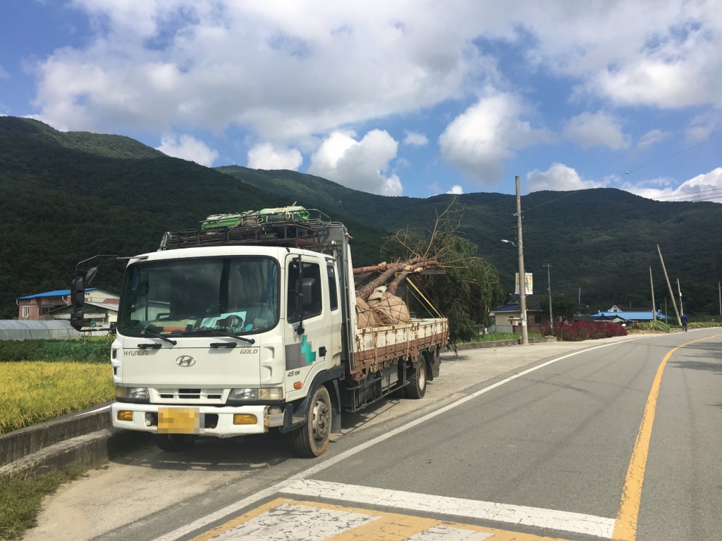 3. 경주시, 재선충병 예방과 확산 방지위한 소나무류 이동 단속 실시