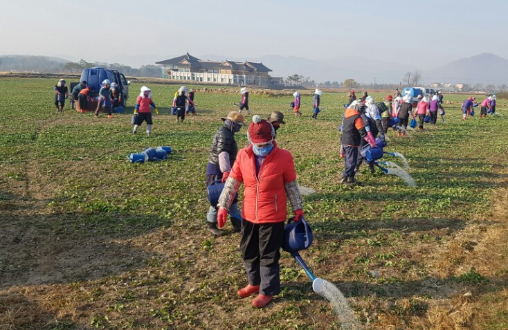 3. 내년 봄, 첨성대의 환상적인 꽃단지 기대하세요 (2)
