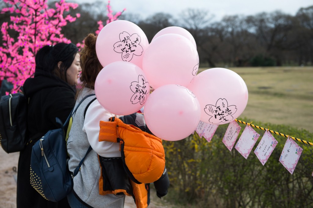 4. 경주벚꽃축제 道 지정 축제로 선정, 대표 봄 축제로 성장 (3)