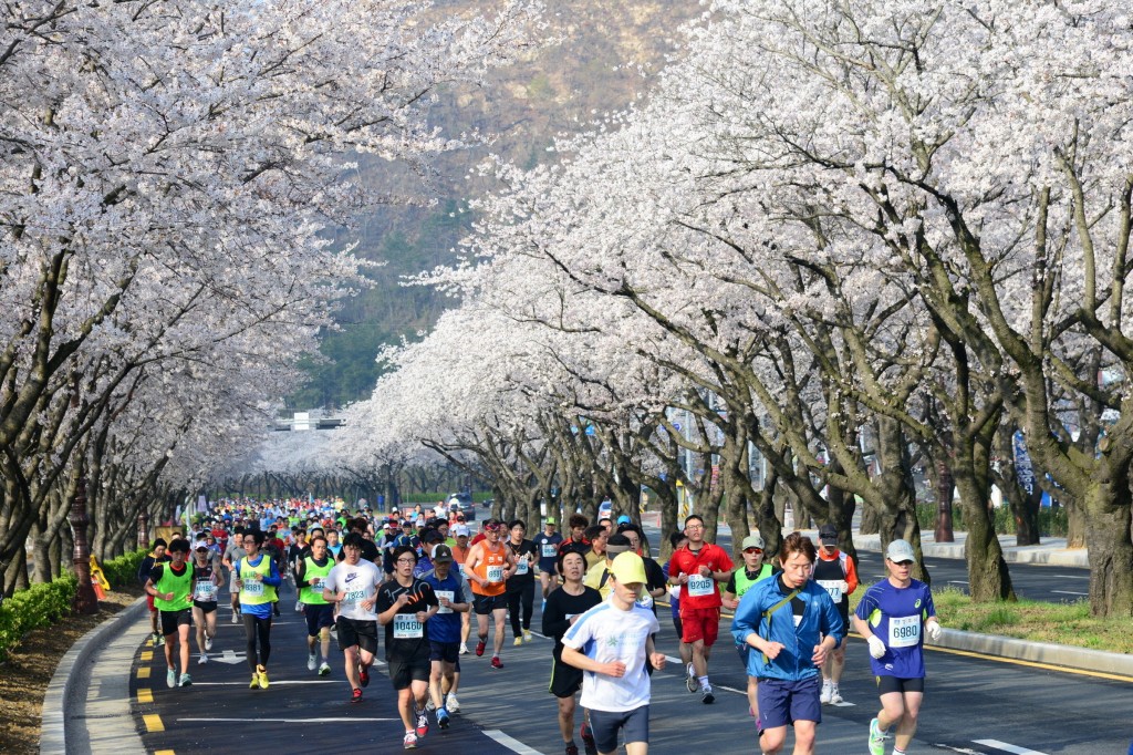 1. 제27회 경주벚꽃마라톤 (2)