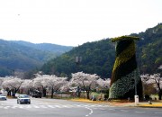 2. 경주 보문단지 첨성대 꽃탑, 봄꽃 식재로 황홀한 자태 드러내 (2)