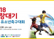 2. 화랑대기전국유소년축구대회 (1)