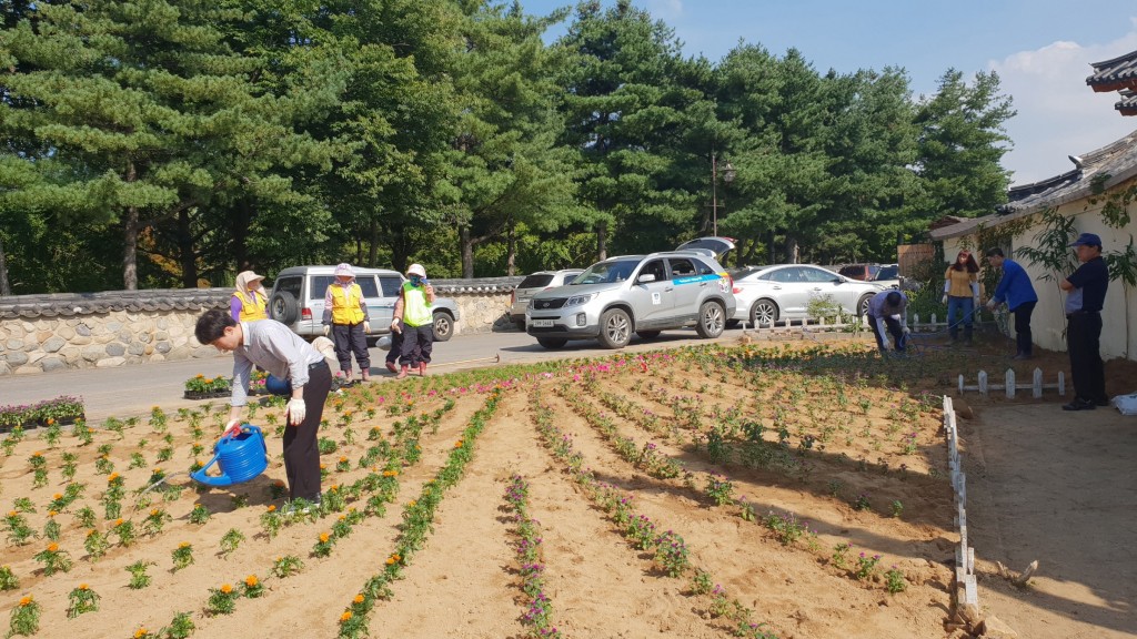 1-2 황남동 대릉원 돌담길에 방치된 사유지에 행복터 '꽃밭 4호점'을 조성하고 있다