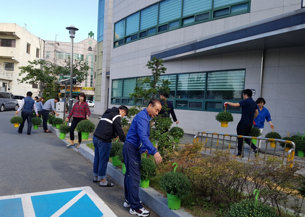 1-5 불국동은 청사의 쾌적한 환경조성을 위해 국화화분 설치하고 있다