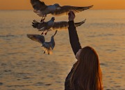 1. 갈매기여인_류창호(금상)