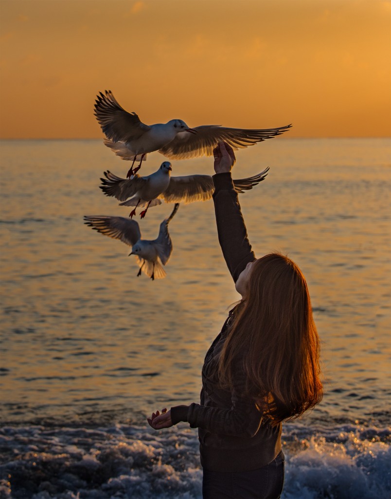 1. 갈매기여인_류창호(금상)