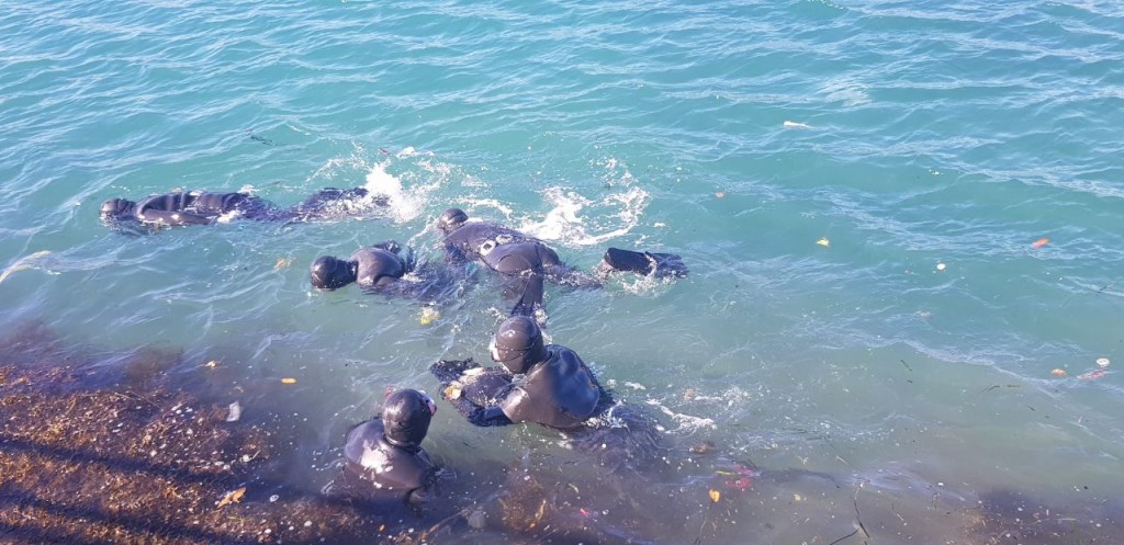 3. 경주 양남마을어장 어린 해삼 방류 (1)