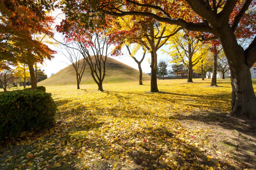 3. 경주시시설관리공단 사적지 여행 인생샷 공모전 (대릉원) (3)
