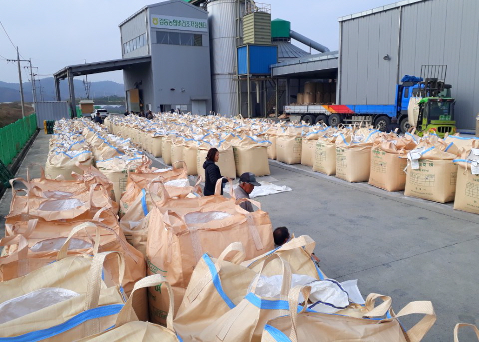 5. 경주시 공공비축미 수매 개시 (1)