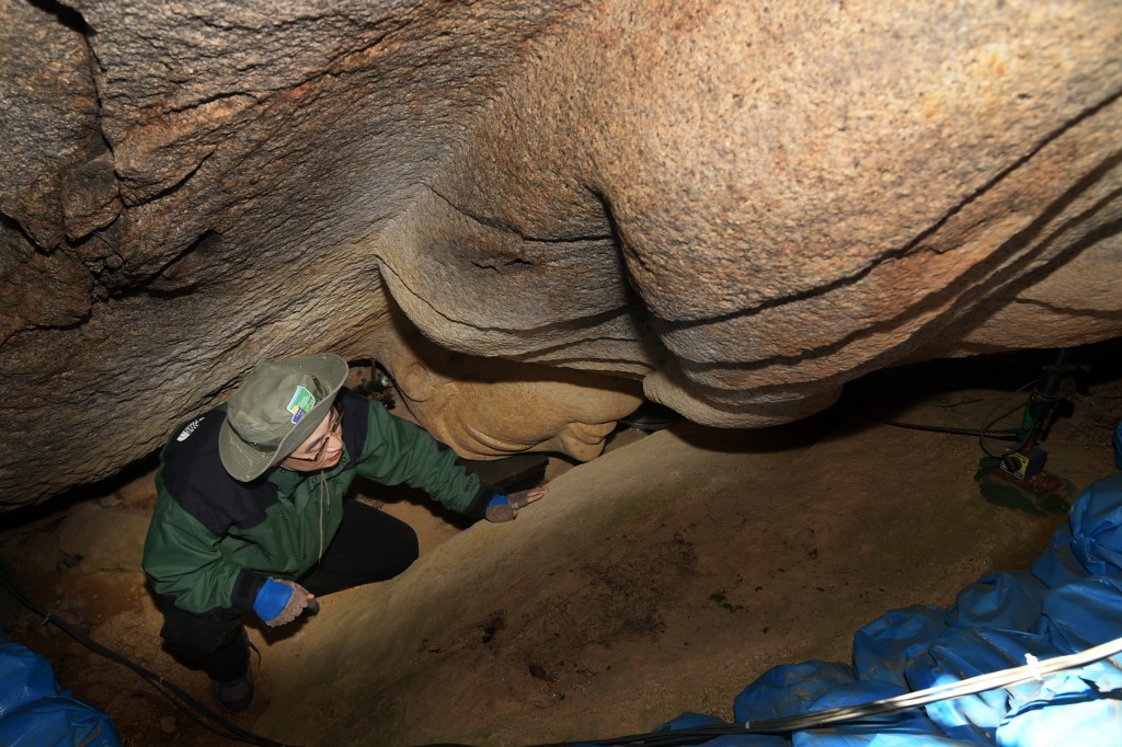 1. 주낙영 경주시장 남산 열암곡 마애불상 현장 방문 (3)