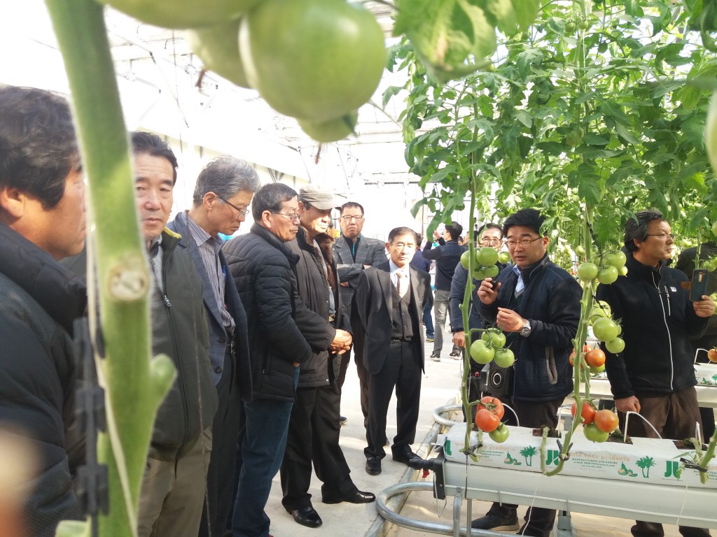 3. 농업기술보급 시범사업(토마토시설재배설명)