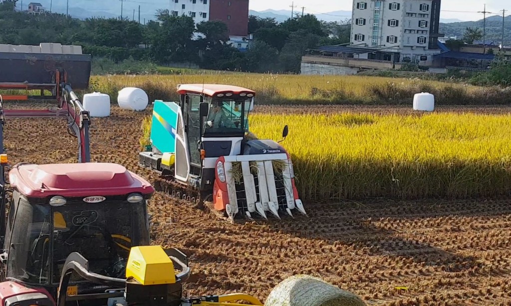 2. 경주시, 논에 벼 외 타 작물 재배시1㏊당 최대 430만원 지원(사료용 벼 생산)