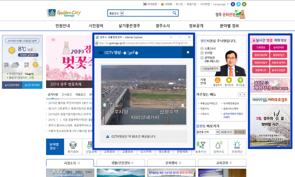 2. 경주시 벚꽃 개화 실시간 정보 홈페이지 안내