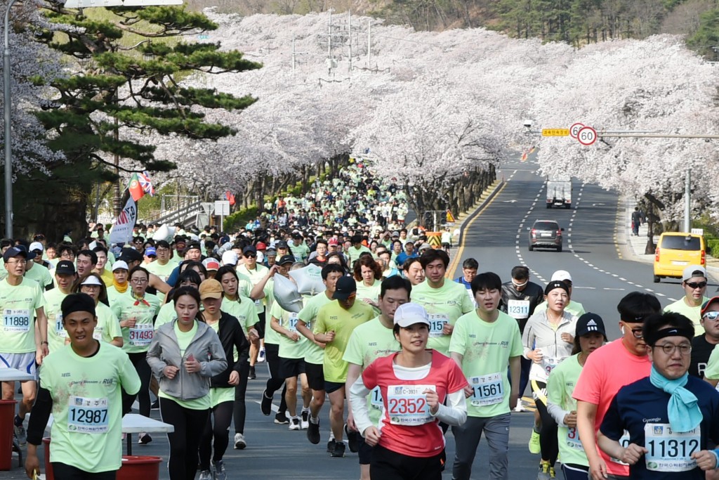 1. 벚꽃마라톤 (5)