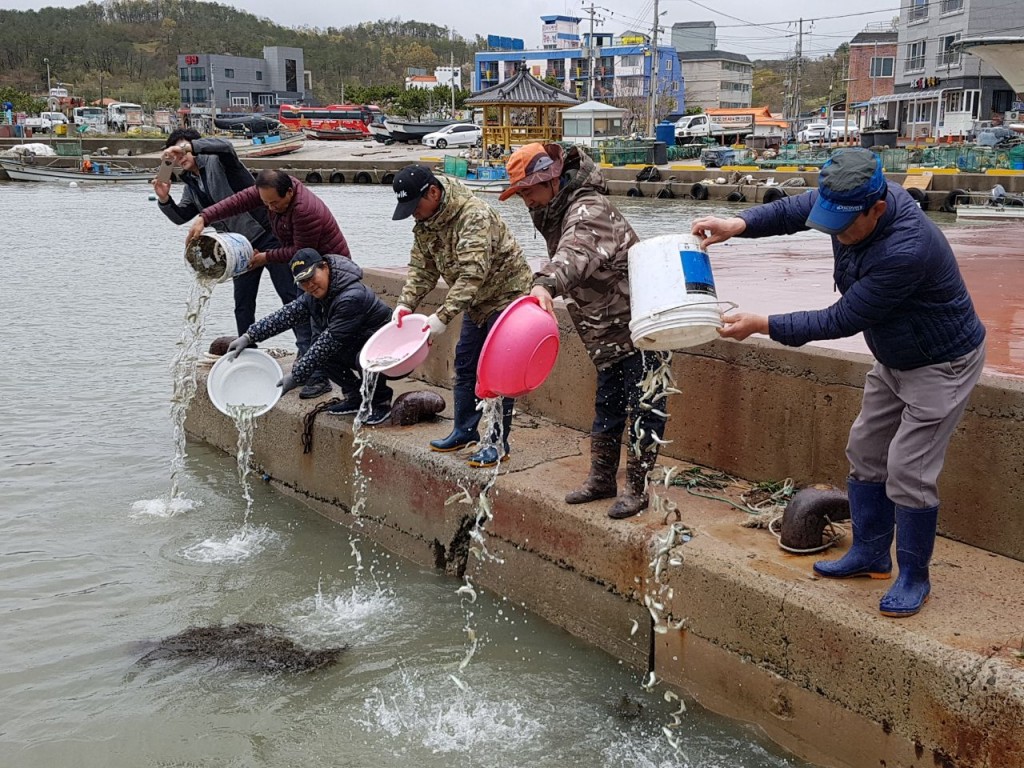 3. 경주시, 쥐노래미 치어 6만 마리 무상방류