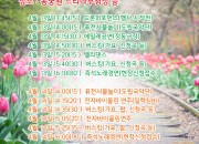 3. 봄! 봄! ‘튤립, 그리고 봄꽃 나들이 in 동궁원’