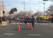 경주시 벚꽃축제 기간 시민불편 최소화에 앞장