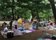 3. 제24회 세계환경의 날 기념식 및 제13회 Beautiful 경주! 환경대축제 성료 (3)