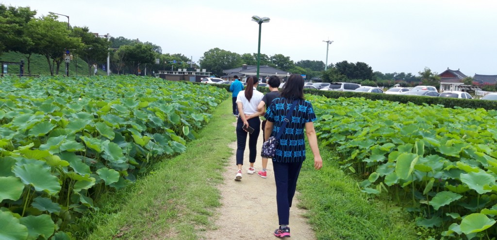 1. 경주시 선도이웃애복지단, 문화체험 사진 (1)