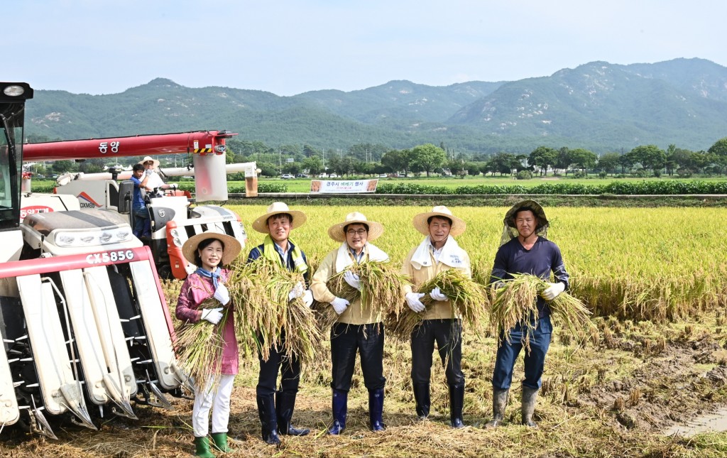 1. 경주시, 오릉 앞들에서 벼 베기 행사 가져 (2)