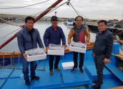 3. 경주시, ‘바다의 산삼’ 해삼 148천 마리 무상 방류 (2)