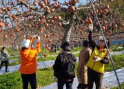 5. 경주시, 농부의 마음을 배우는 농촌체험 (1)