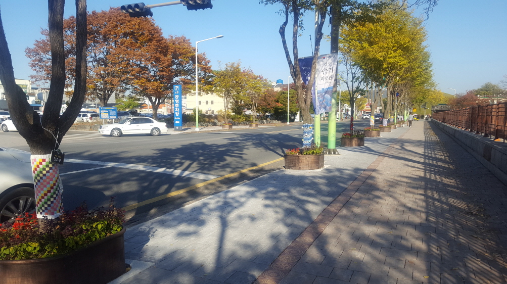 6. 경주 대릉원 후문 이팝나무들의 겨울 패션쇼! (1)