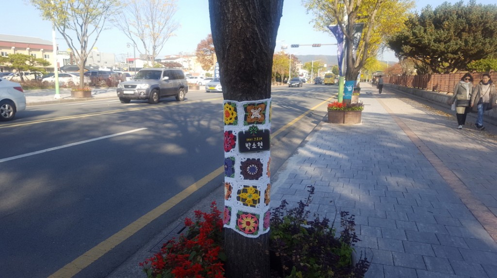 6. 경주 대릉원 후문 이팝나무들의 겨울 패션쇼! (2)