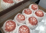 7. 대만 소비자의 입맛을 사로잡은‘경주 현곡배’ (2)