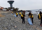 12. 경주시 양남면, 설 명절맞이 환경정비 실시(1)