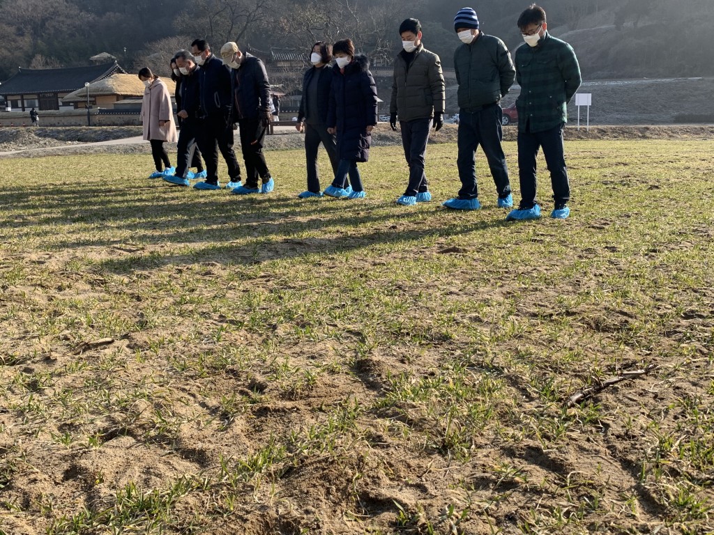 2. 경주 양동마을에 청보리 밟기 체험 행사 열려 (1)