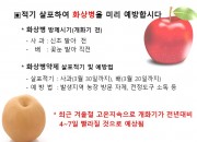 2. 경주시농업기술센터,‘과수화상병’청정지역 사수 총력(카드뉴스 홍보-SNS 및 카카오톡 발송 등)