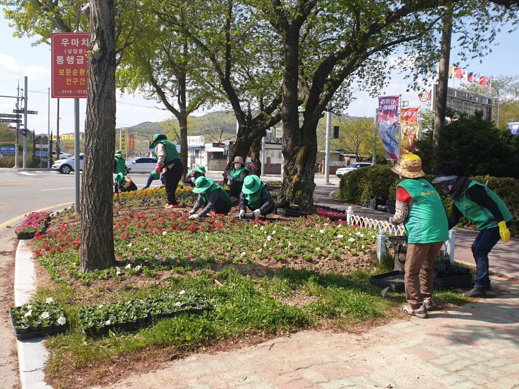 5. 경주시, 천군네거리 걷고 싶은 꽃길 조성 (2)