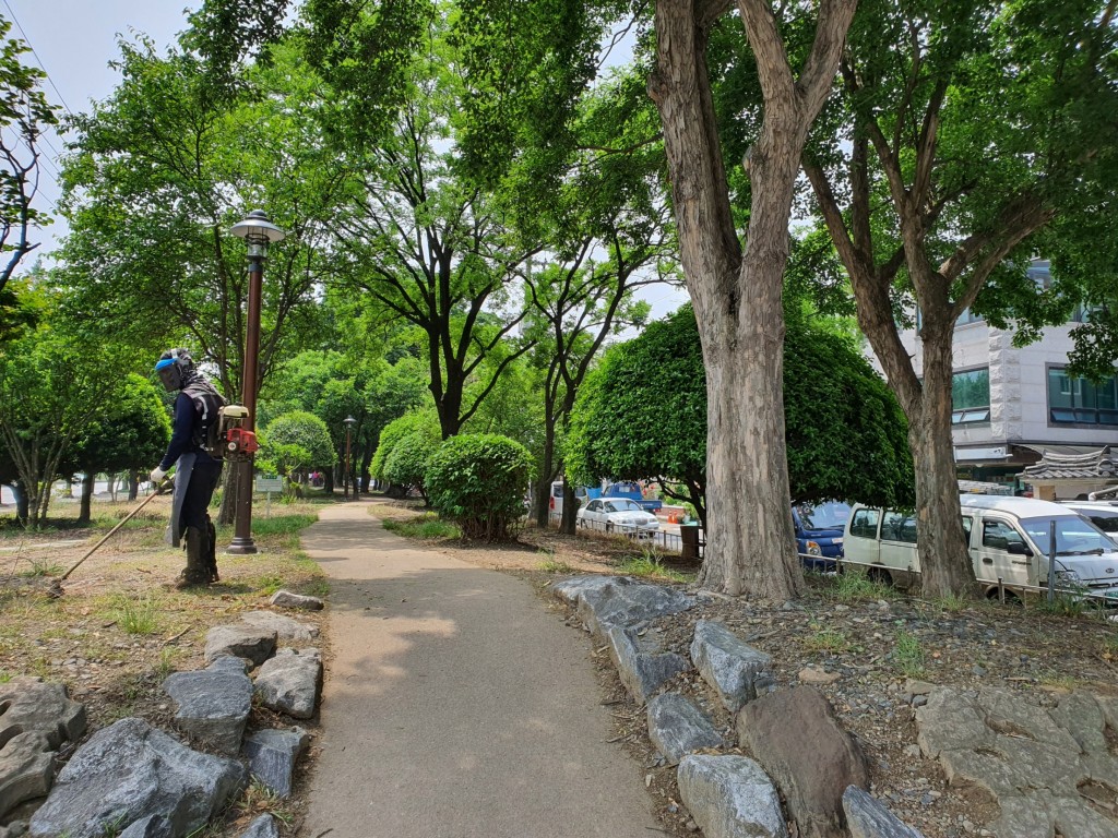 2. 경주시, 공원 및 녹지대 등 잔디 깎기로 깨끗한 환경 조성 (2)