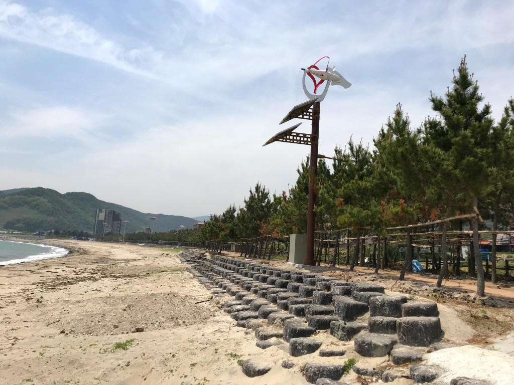 1. 동해의 보석 경주 바다 드라이빙 투어(관성솔밭해변 테마길