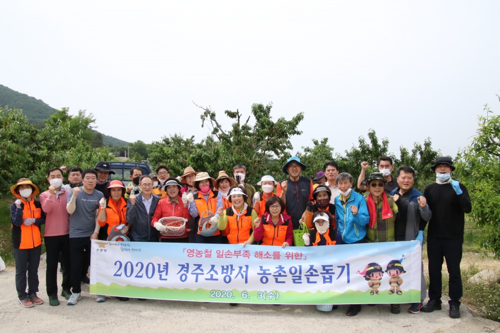 20200603 경주소방서, 농촌 일손 돕고, 농가 시름 덜고(1)