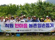 경주엑스포는 12일 지역 체리농가를 방문해 농촌일손돕기 봉사활동을 진행했다.