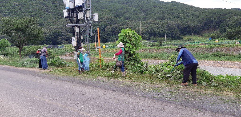 5. 양남면 새마을지도자협의회·부녀회 환경정비 실시