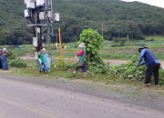 5. 양남면 새마을지도자협의회·부녀회 환경정비 실시