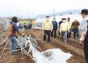 1. 경주시, 잇따른 태풍피해 복구에 전력 (비닐하우스 철저 현장을 방문에 공무원들을 위로하고 있는 주낙영 경주시장)