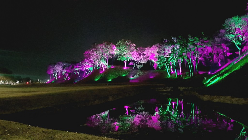 2. 월성! 황홀한 야경에 취하다! - 레인보우