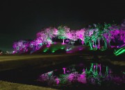 2. 월성! 황홀한 야경에 취하다! - 레인보우