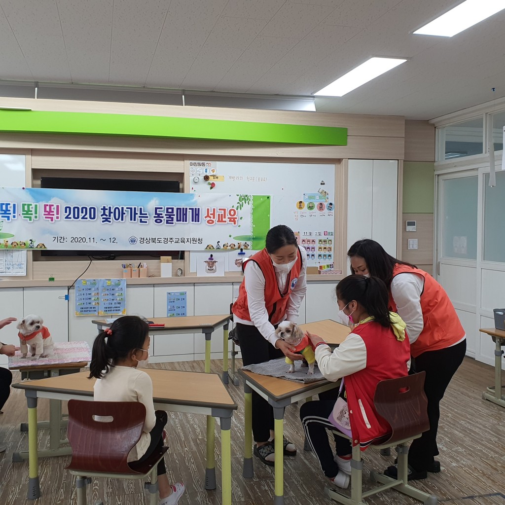 20201102_경주교육지원청_성교육프로젝트 운영2