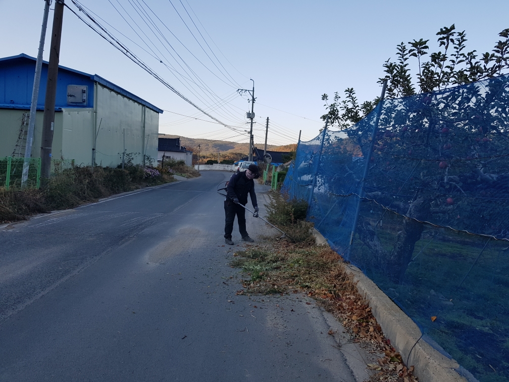4. 보덕동 통장협의회, 도로변 풀베기로 쾌적한 도로환경 조성 (2)