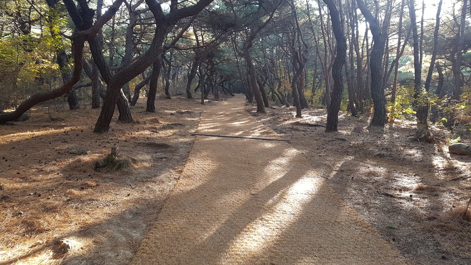 관련사진_2(생명토 나르기)