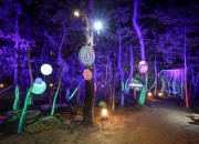 신형 포그(안개)머신과 홀로그램, 레이저의 조화로 환상적인 모습을 표현하는 '신라를 담은 별(루미나 나이트 워크)'-2